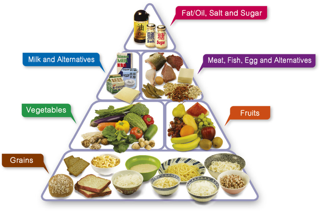 balanced diet section